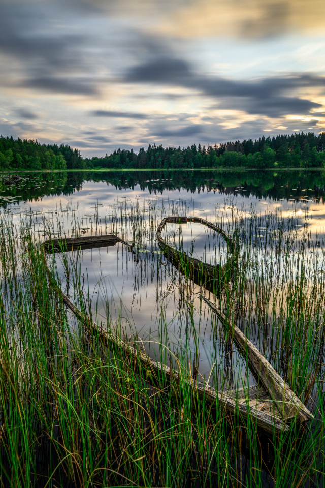 Старая затонувшая лодка в пруду