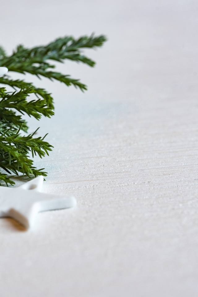 Звезды и ветка ели на белой поверхности 