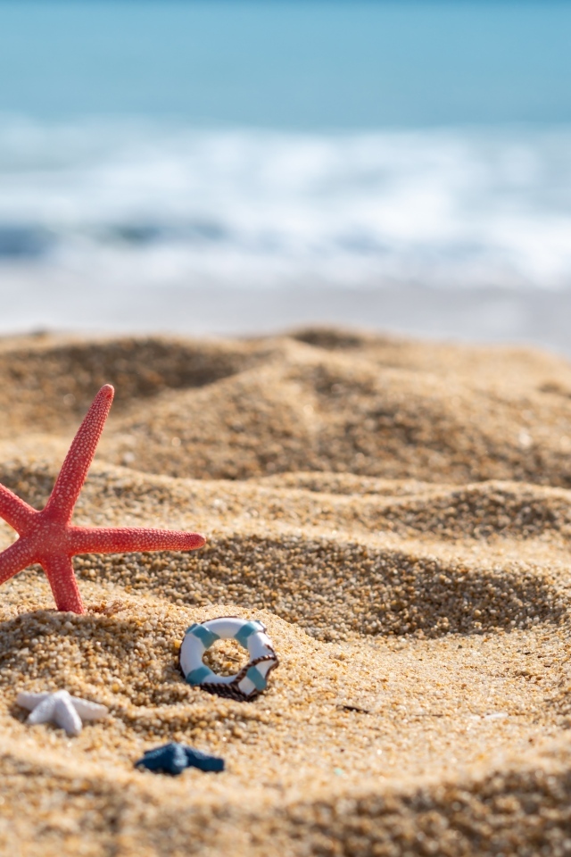 Красная морская звезда и игрушки на песке у моря летом