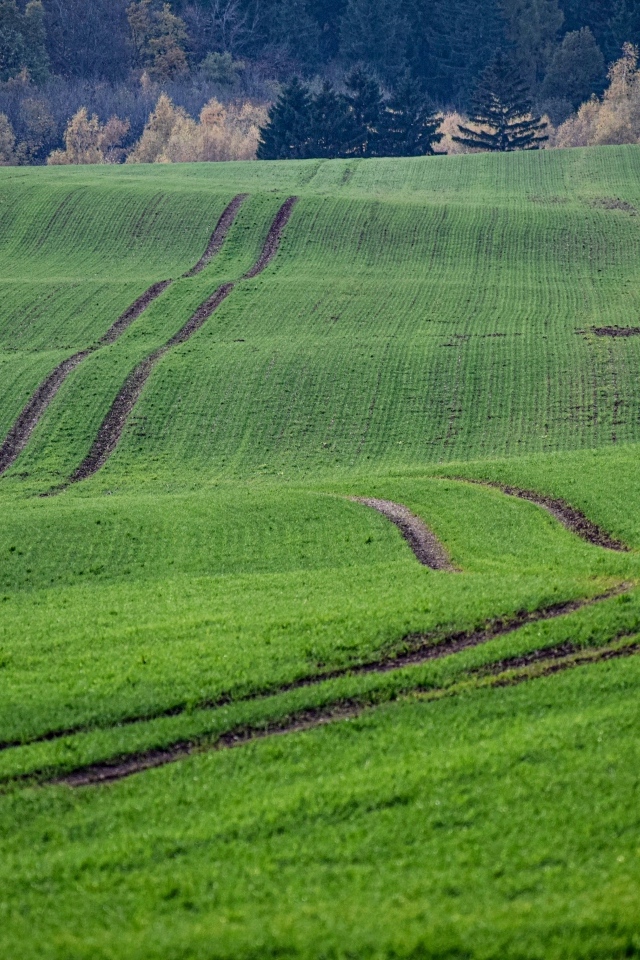 Красивый вид за зеленые поля весной