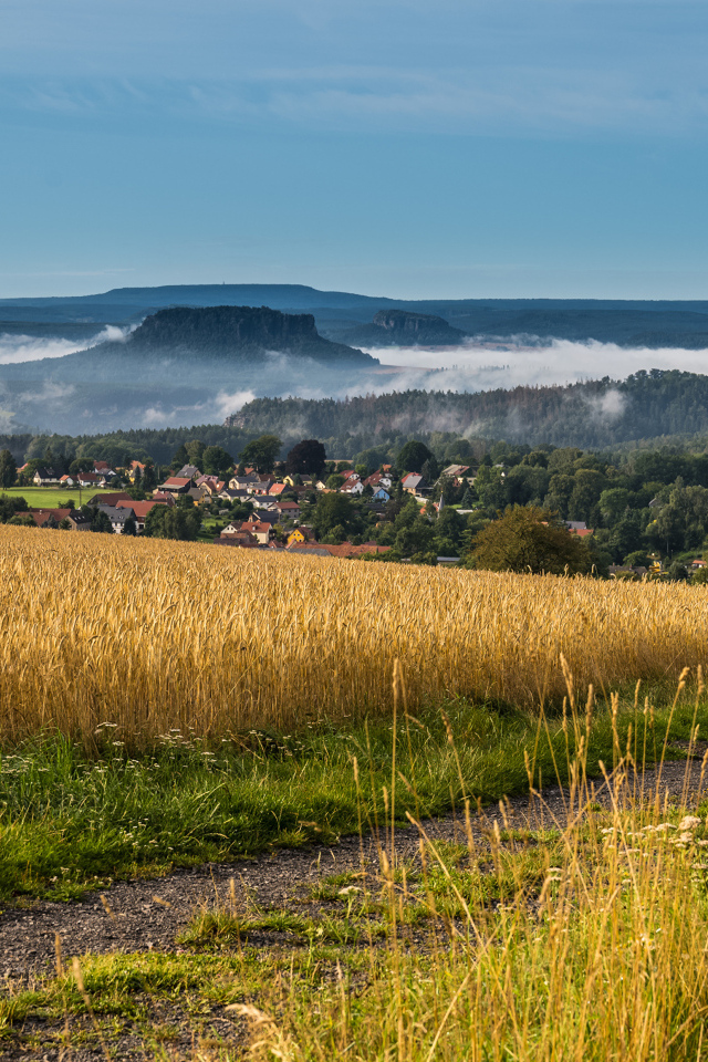 Туман над городом у поля с пшеницей 