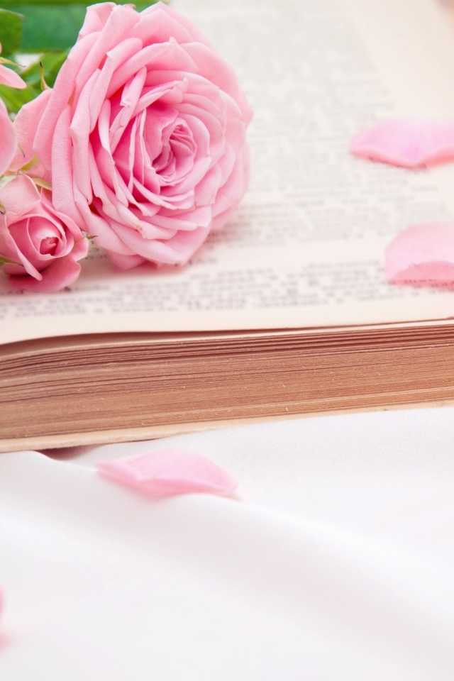 Букет розовых роз лежит на книге