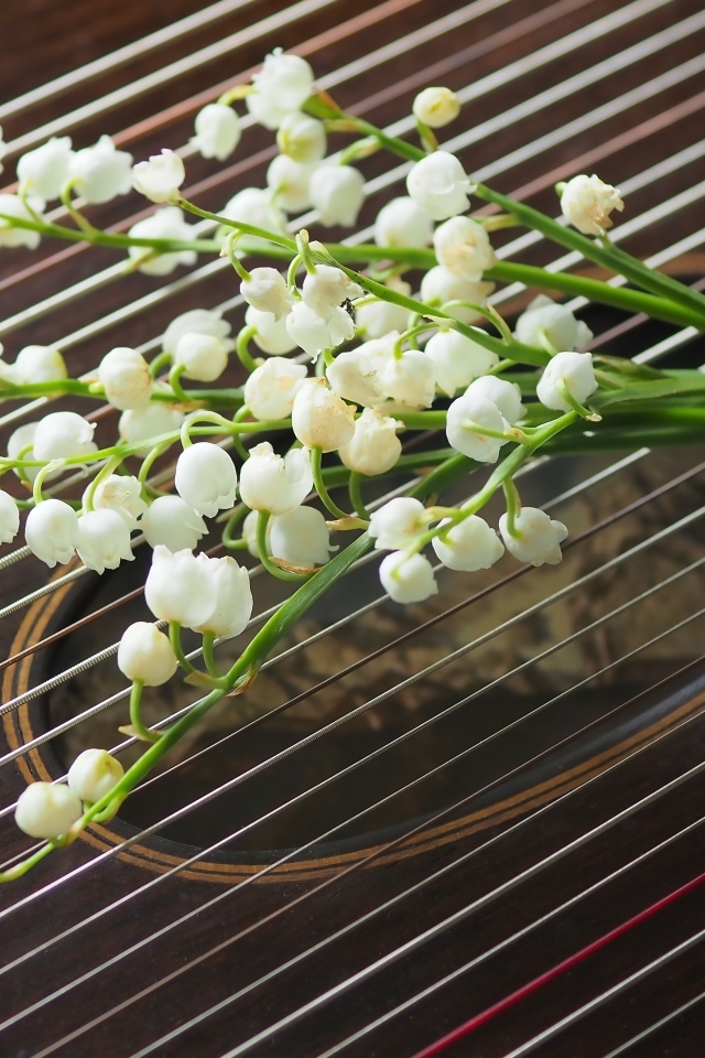 Букет белых ландышей лежит на струнах