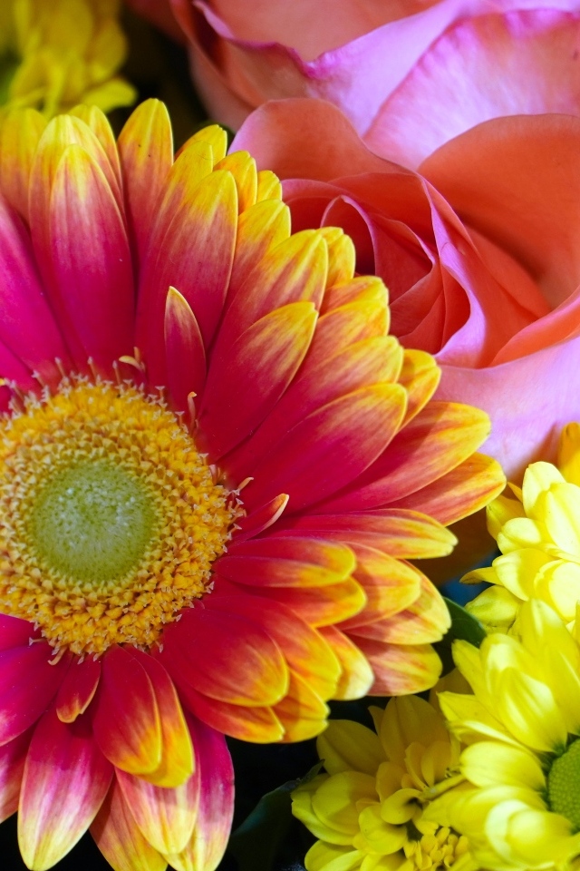 Красивый букет из цветов хризантемы и розы