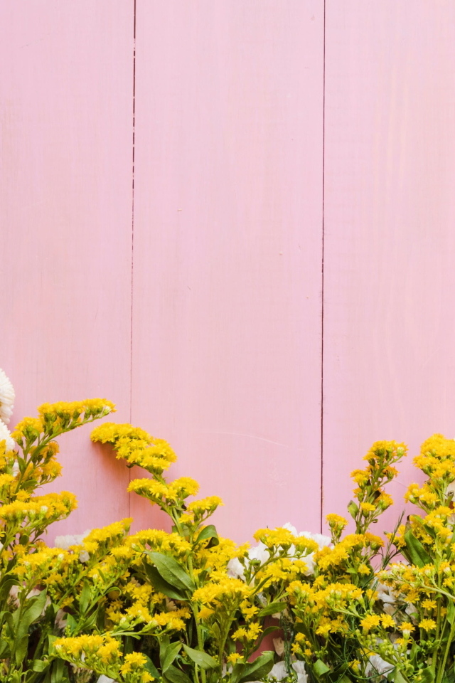 Красивые цветы на розовом фоне