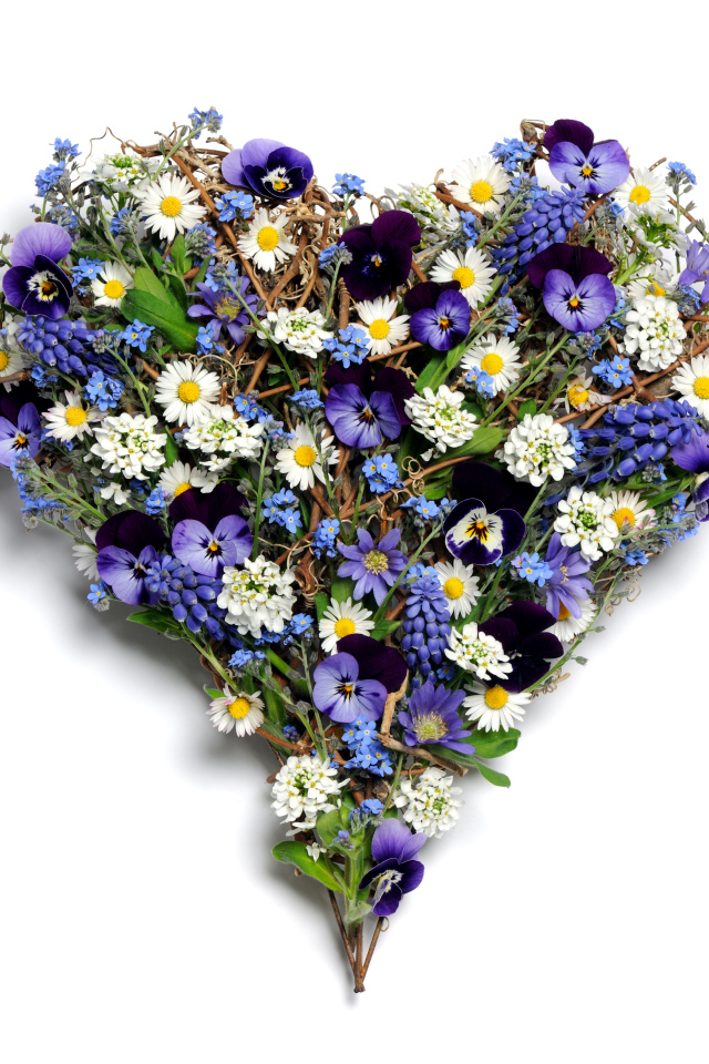 Красивое сердце из цветов на белом фоне