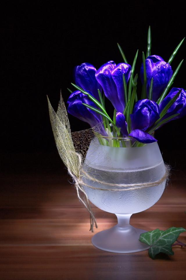 Синие крокусы в бокале на столе