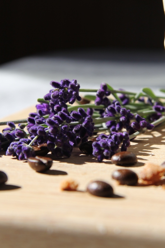 Синие цветы лаванды с зернами кофе