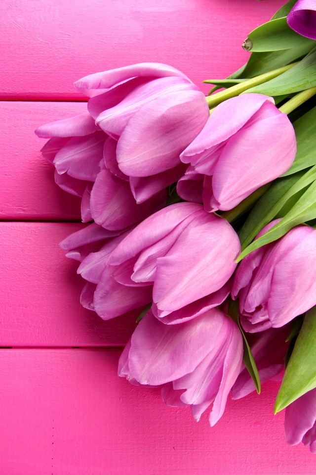 Букет красивых тюльпанов на розовом фоне