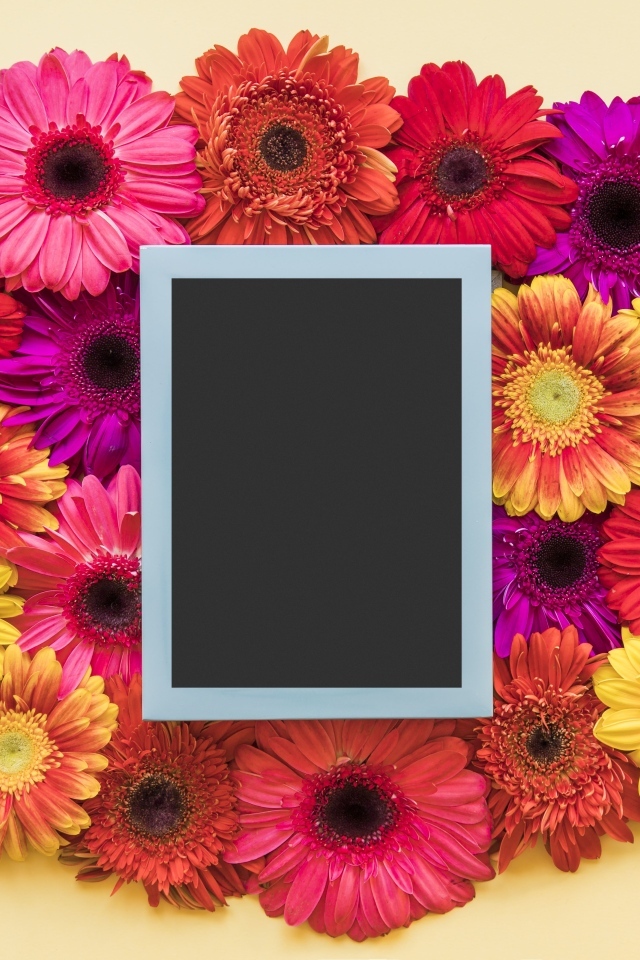 Букет разноцветных гербер с рамкой