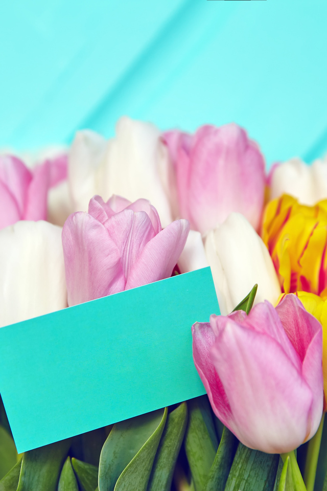 Букет разноцветных тюльпанов с открыткой