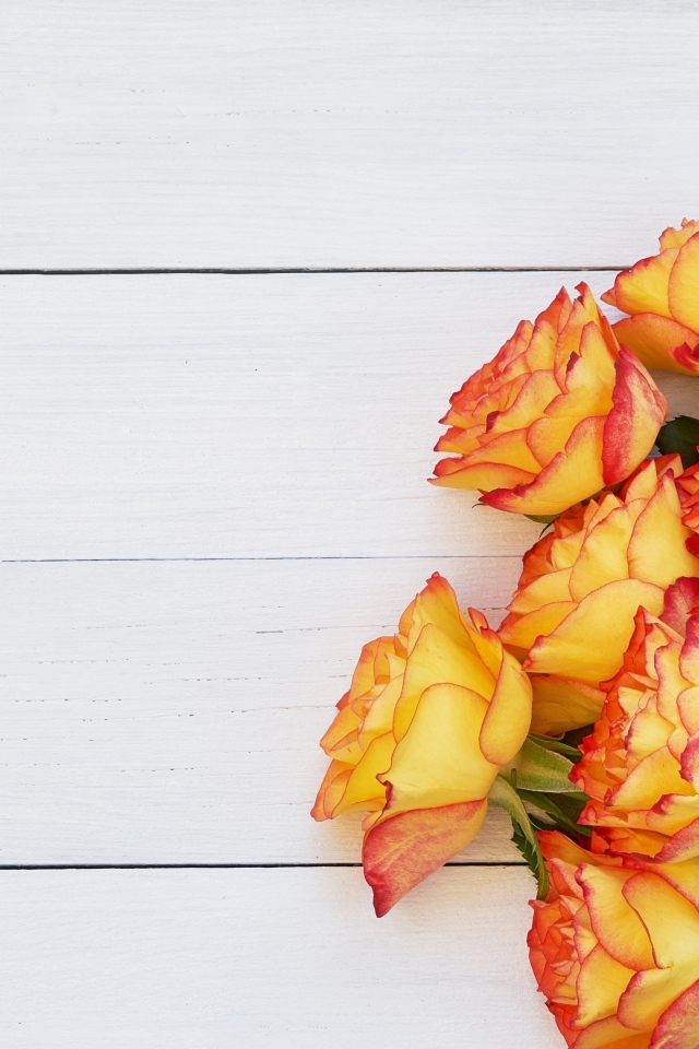 Букет оранжевых роз на белом деревянном фоне