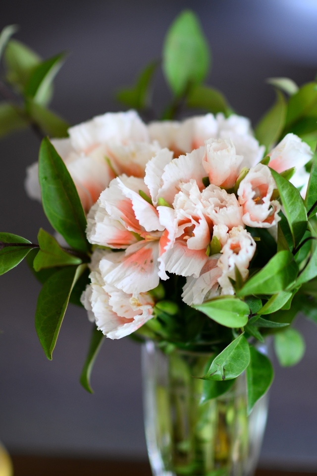 Букет розовых гвоздик  с зелеными листьями в вазе