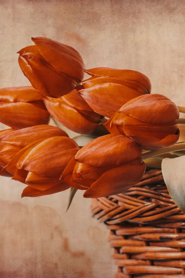 Букет красных тюльпанов в корзине на столе