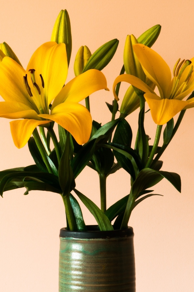 Букет желтых лилий в вазе