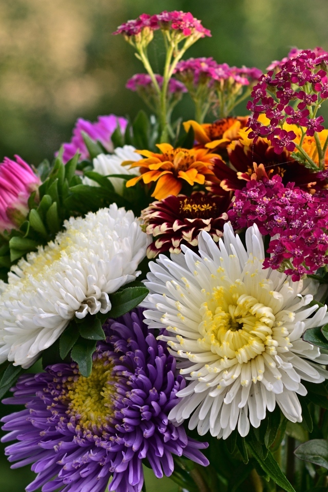 Яркий букет садовых осенних цветов