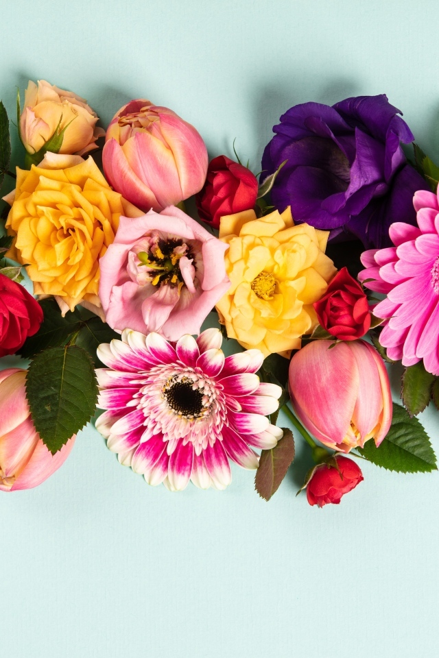 Композиция из разных цветов на сером фоне