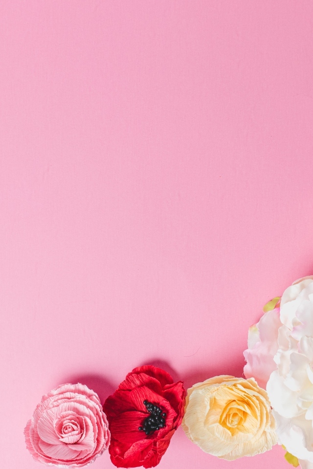 Нежные сорванные цветы на розовом фоне
