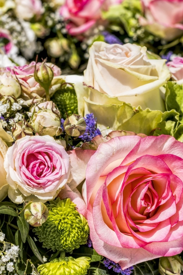 Нежные розы и цветы гипсофилы крупным планом