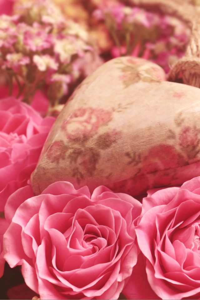 Сердце лежит на цветах розовой розы