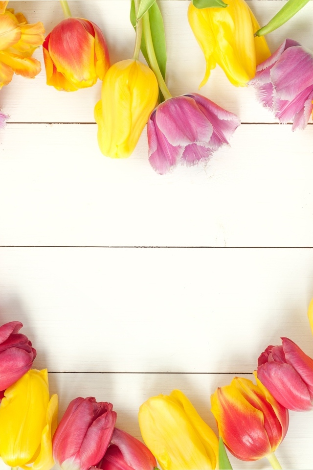 Сердце из разноцветных тюльпанов на белом столе