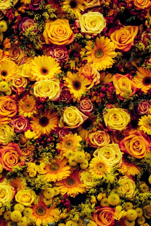 Много разных оранжевых цветов для фона