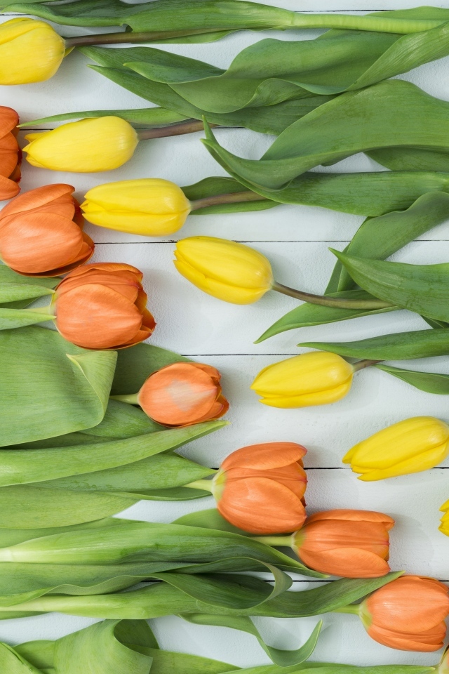 Оранжевые и желтые тюльпаны на столе