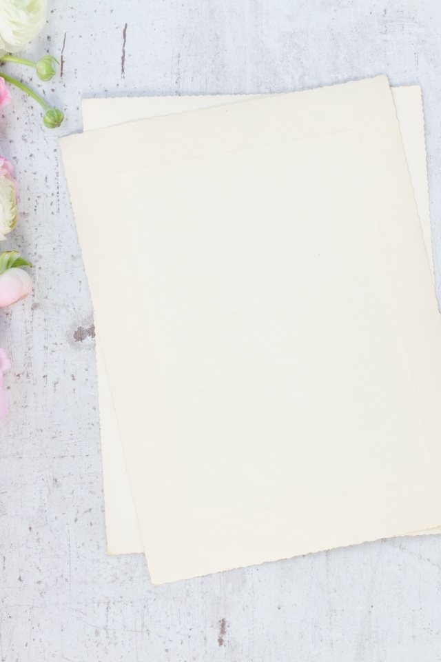 Розовые лютики с белыми листами на сером столе