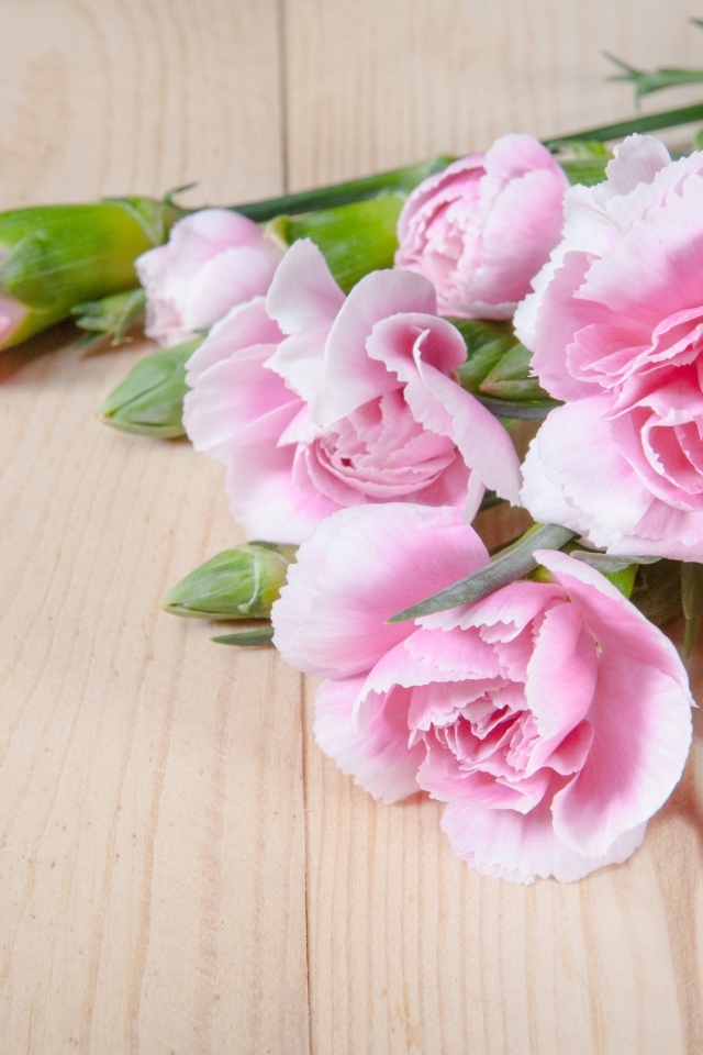 Розовые гвоздики на столе