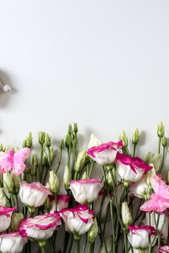 Розовые цветы эустомы с сердечками на сером фоне