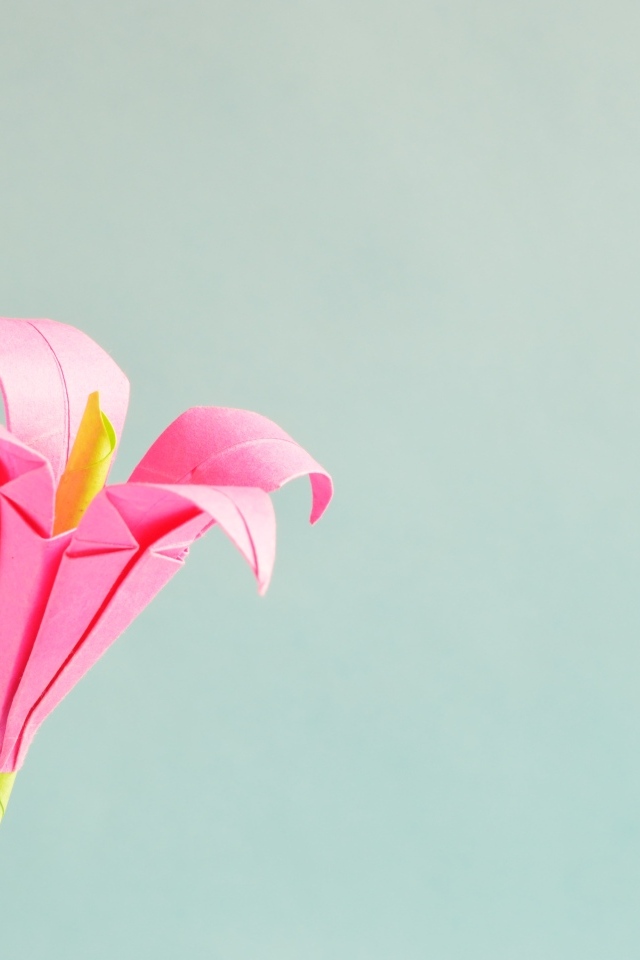 Розовый бумажный цветок на сером фоне