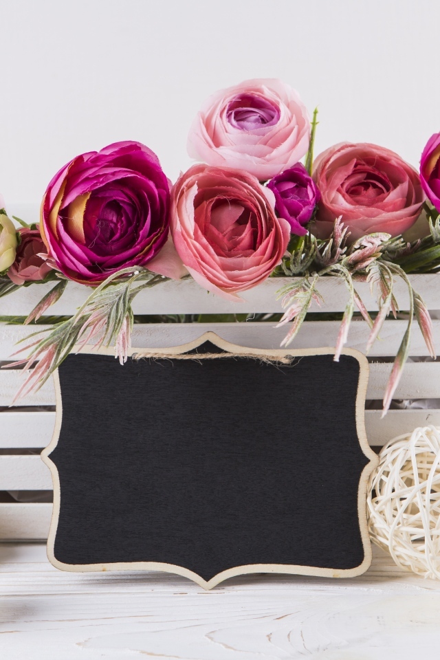 Розовые цветы лютика в белом ящике с рамкой