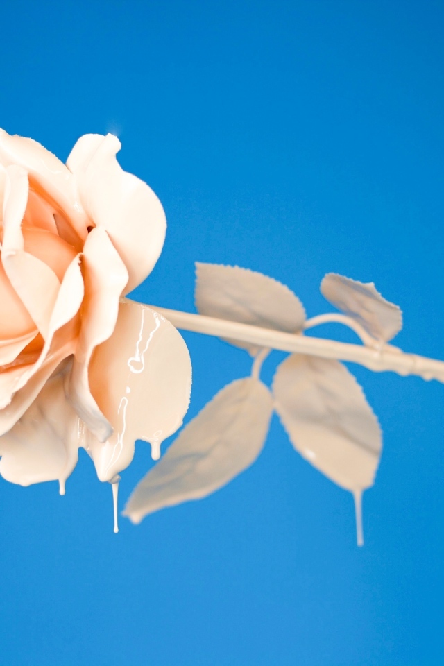 Розовая роза в краске на голубом фоне