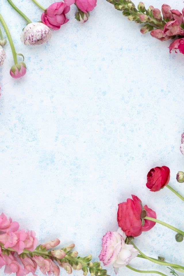 Лютики и цветы антирринум на голубом фоне