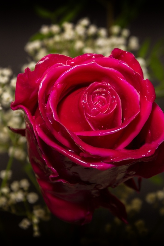 Красная роза залита воском