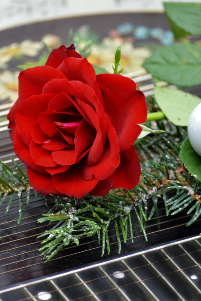 Красная роза с шариком и еловой веткой