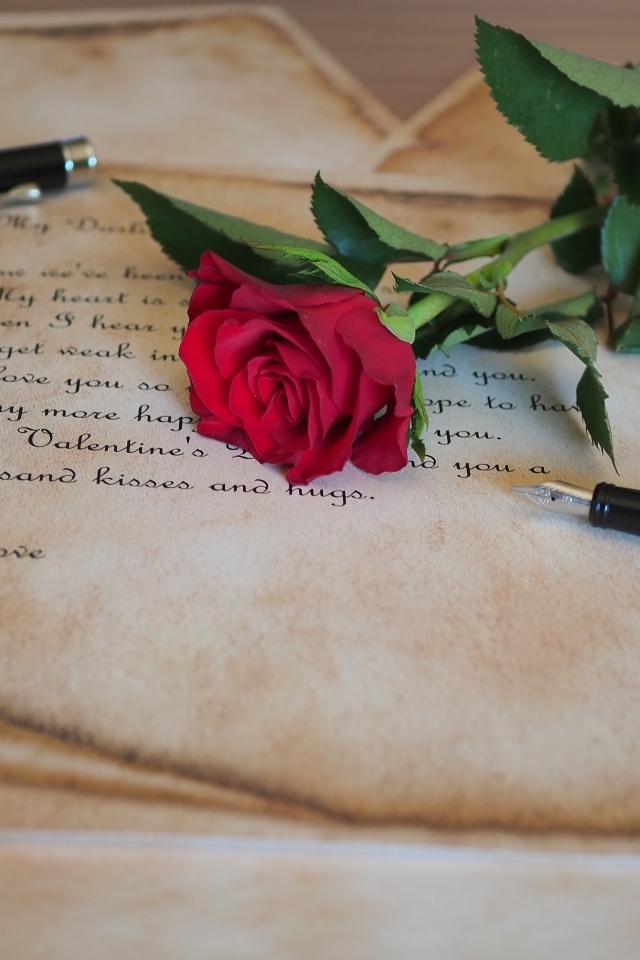 Красная роза с запиской и ручкой на столе