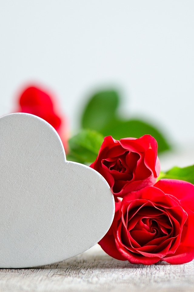 Красные розы с белым сердцем на столе