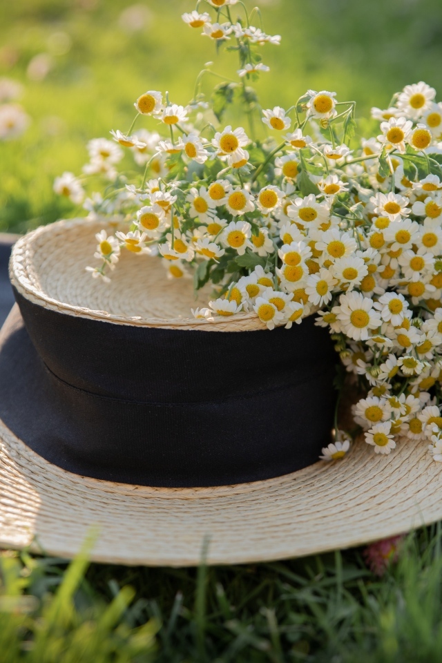 Соломенная шляпа на траве с цветами ромашки