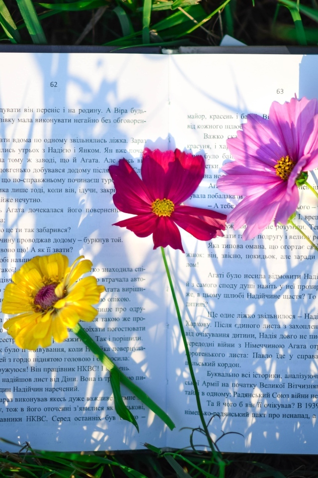 Три цветка лежат на книге в траве