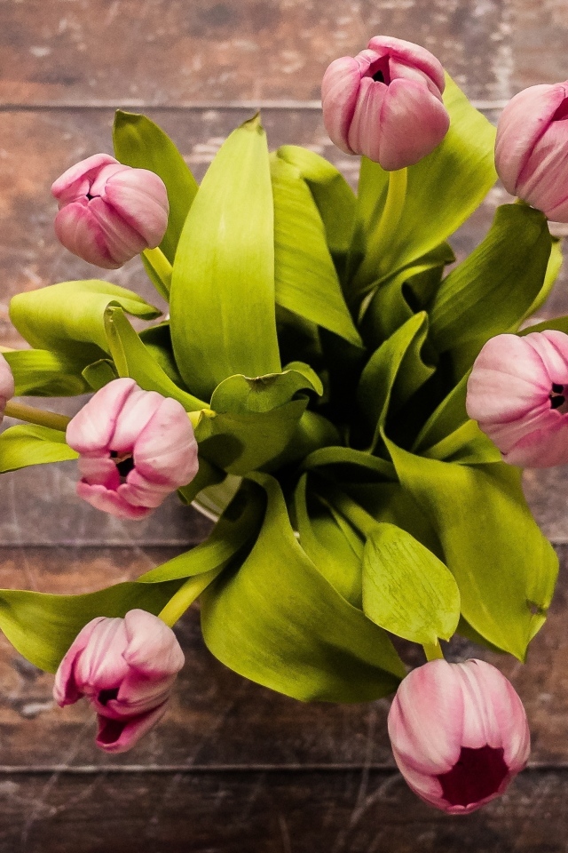 Вид сверху на букет розовых тюльпанов