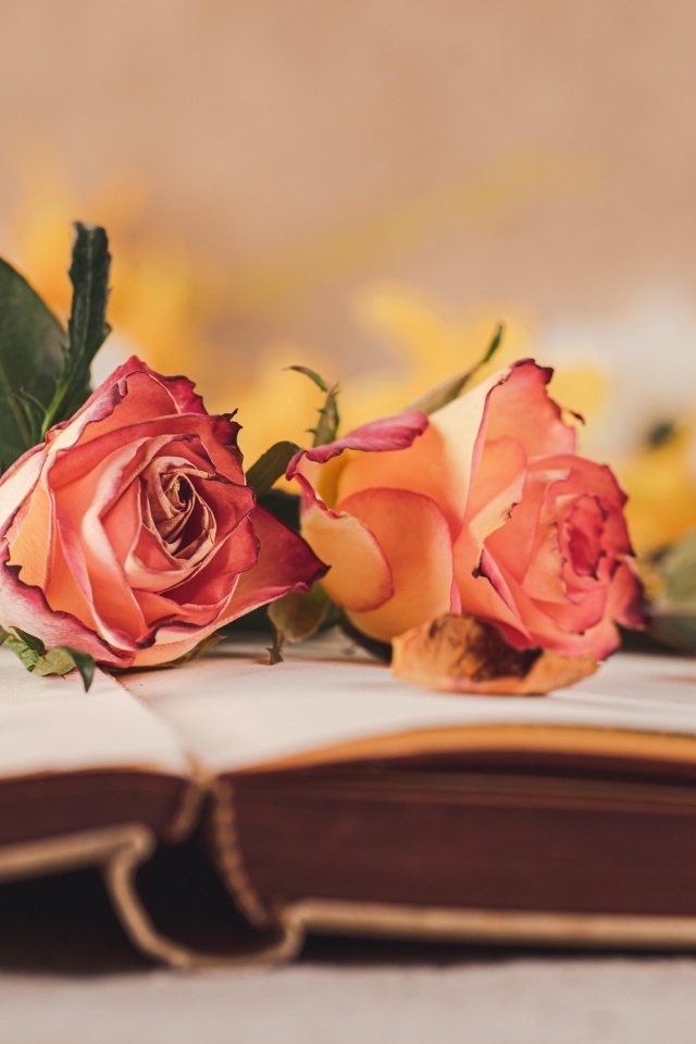 Две розы лежат на открытой книге