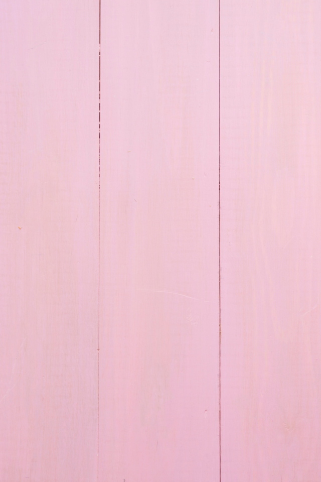 Два весенних цветка на розовом фоне