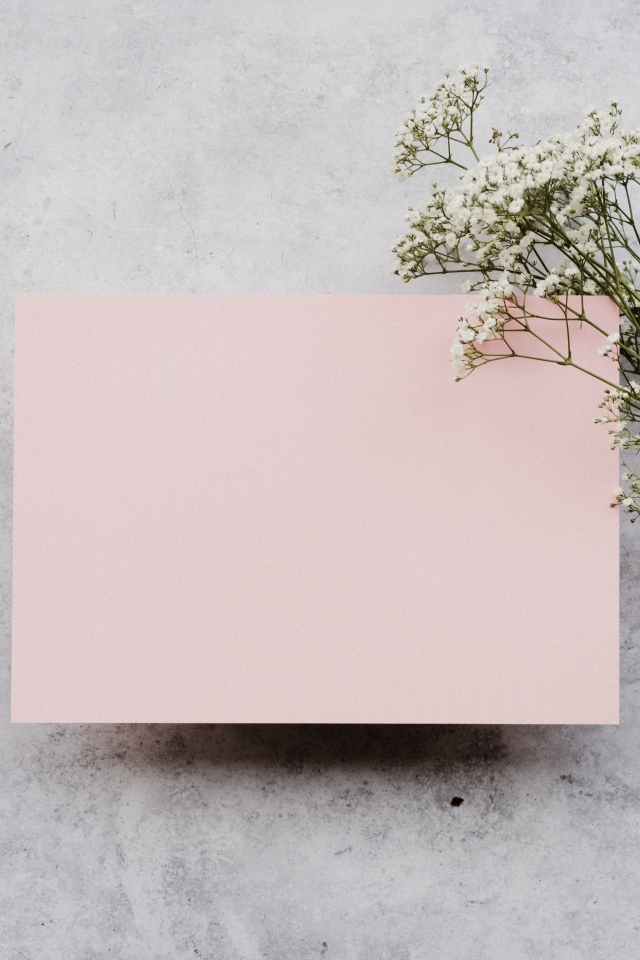 Белые цветы и лист розовой бумаги на сером фоне