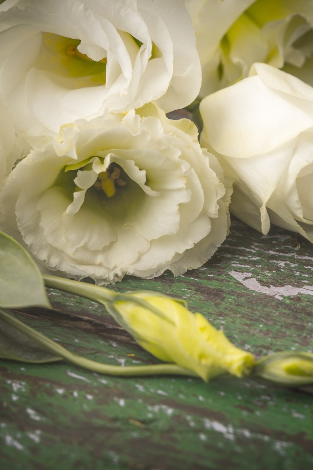 Белые розы и цветы эустомы на столе