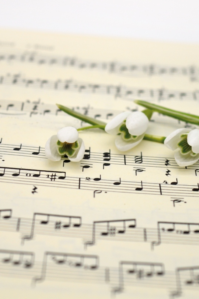 Белые подснежники на нотной тетради