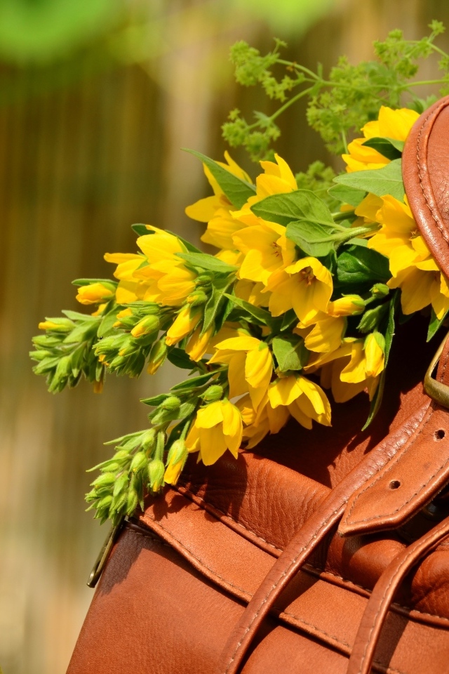 Желтые цветы лежат в кожаном рюкзаке 