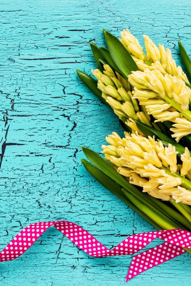 Желтые гиацинты с лентой на голубом фоне