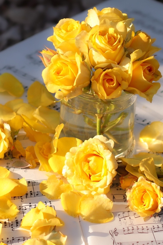 Желтые розы на нотных листах в лучах солнца
