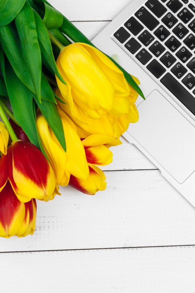 Желтые тюльпаны с ноутбуком на столе